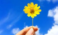 梦见杀了很多人,梦见杀了好多人