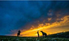 活出自己不被别人左右的星座