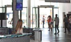 梦见砍树周公解梦,梦见砍树是什么意思?