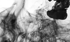 猴运势2022年预测大全