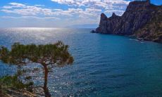 马和兔相冲吗 马和兔在一起带财吗