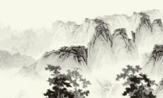 2023属兔的几月份好