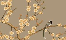 属牛人和属龙人的运势2023