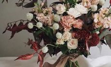 男白羊座三区和女水瓶座二区配对