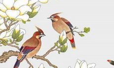 2023年犯太岁的怎样躲春