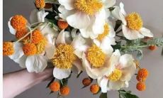 金牛座与水瓶座配对