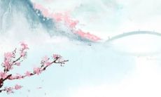 肖猪2023年生肖运势