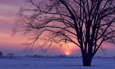 2022年双鱼座的运势 双鱼的事业、爱情与财运