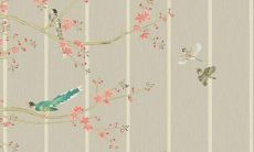 93年属鸡的夫妻生虎宝宝 生虎宝宝好吗