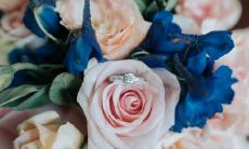 生肖虎的水瓶座和什么生肖星座最配