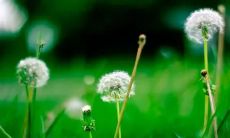 女人梦见丈夫成了八旬老人