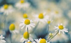 梦见别人怀孕大肚子什么预兆 梦见别人怀孕流产了是什么征兆