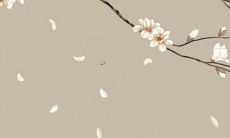 双子座和双鱼座配吗?