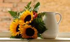 梦见家里好多人