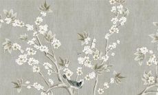 天蝎座与双鱼座配对