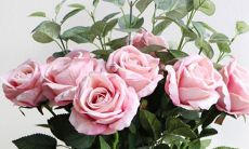 明知道会分离 还要在一起的星座配对