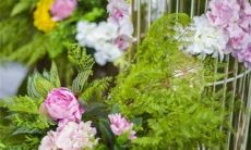 太阳星座狮子座女生