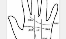 岛纹出现在感情线上代表什么 岛纹是什么