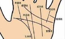 手相线路详解 手相线乱的女人代表什么