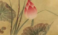 2023年属虎的人忌讳的颜色