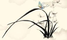 2023属虎和属兔的夫妻运势