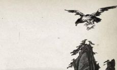 属兔人2023年年运