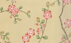 1972年属鼠未来5年运势 1972年属鼠未来运势如何