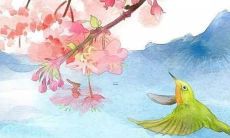 2022年男孩出生的最佳日期