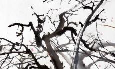 有什么好听的英语名字