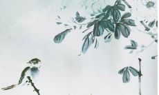 姓纪的女孩名字带皓字