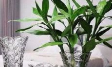 职场风水摆件 职场风水招财