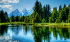 双鱼座的最佳闺蜜 双鱼座闺蜜配对指数