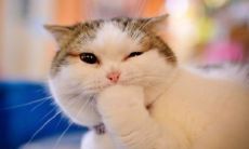 下降星座是什么意思 下降星座看正缘长相