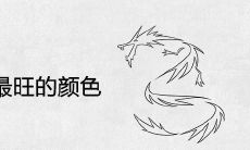属龙人永远最旺的颜色