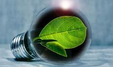 梦见柠檬的心理学解析是什么意思