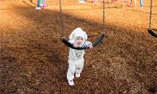 梦见薰衣草周公解梦,梦见薰衣草是什么意思?