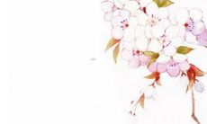 女孩五行缺金取名大全