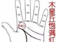 手相分析木星丘是代表着什么?