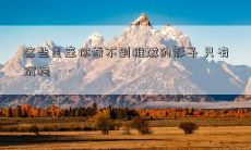 这些星座你看不到稚嫩的影子 只有沉稳