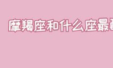 摩羯座和什么座最配?