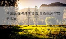 元旦就算整天宅家里 也是邀约不断的星座