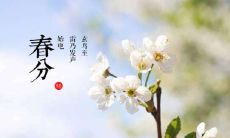 在春分节气出生好不好?春分节气出生的命运解析