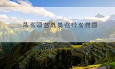 怎么看金星落在什么星座