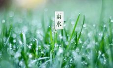 2020年的雨水节气是阳历几月几号 卦象运势好吗?