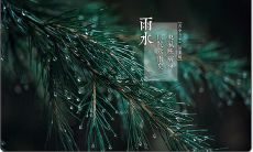 2020年雨水节气是什么时候 立春后几天是雨水?