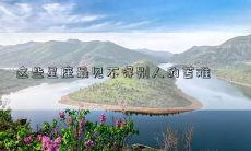 这些星座最见不得别人的苦难