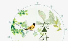 春分有什么来历?节气特征有哪些?