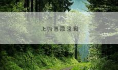 上升星座查询