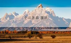 十二星座 固执