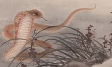 周公解梦男人梦见蛇 不同男性梦到蛇的寓意